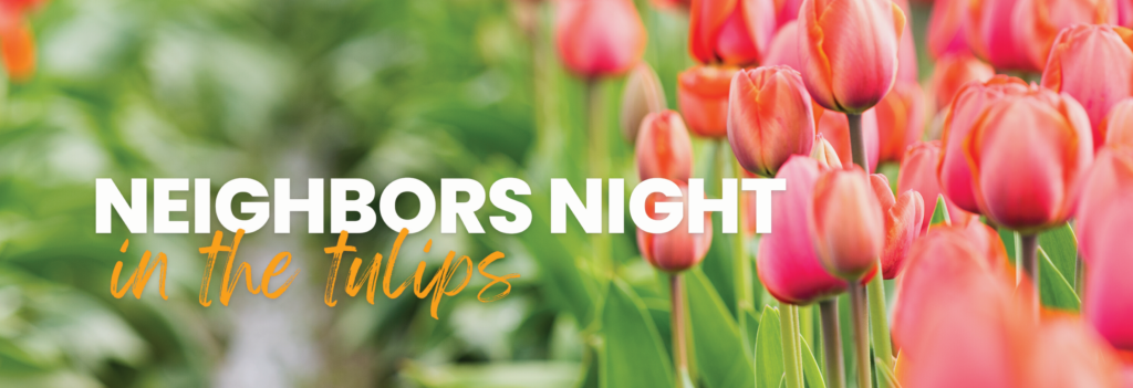Neighbors Night in the tulips