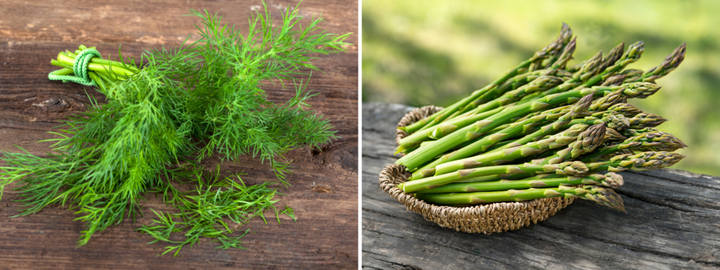 A bunch of dill on a wood board and a basket of asparagus.
